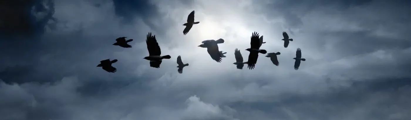 Raben an einem grauen Himmel